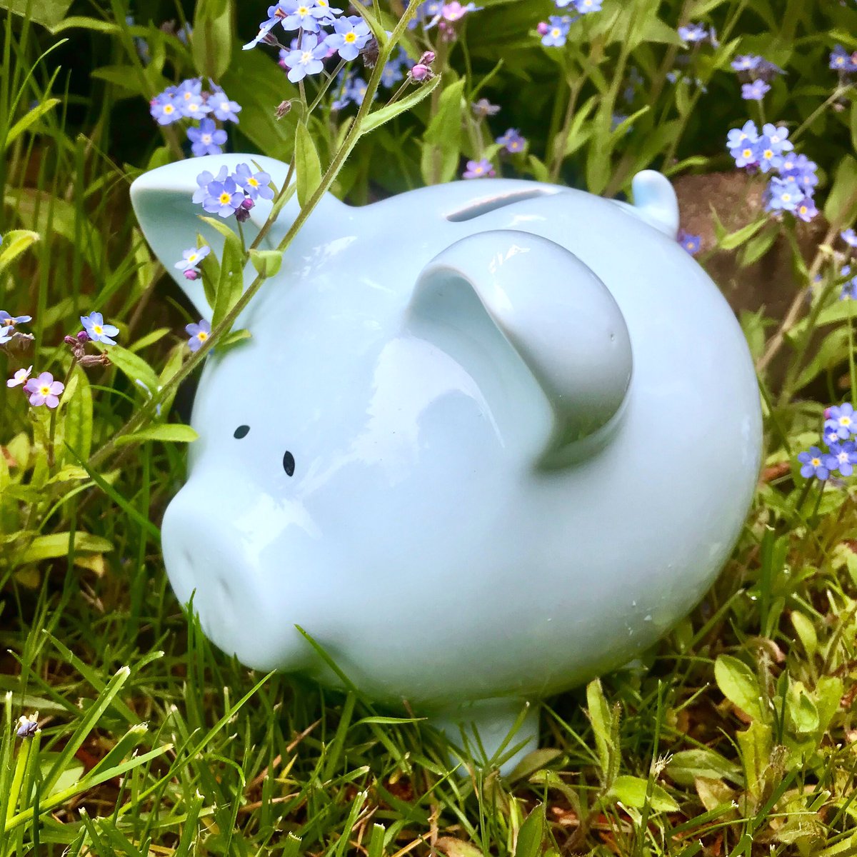 forensiccamp's tweet photo. No need to break out your bank this summer! #forensiccamp rewards bursaries to exceptional students to help offset the cost of attending camp. Sign up for camp before May 31st, 2019 and fill out the bursary application on our website.

#academiccamp #experienceuni #summercamp https://t.co/aOApTinNay