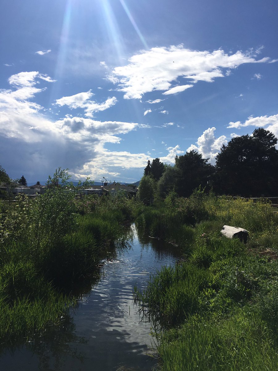 tweetwithpav's tweet photo. #KLOMiddle Fascieux Creek #ecosystem is thriving. Great upkeep Mr. Wardman, the students and staff. #stewardship @ChadWardman #sd23learns https://t.co/sEEFxP5Arq