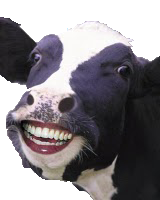 vakinha sorridente :)