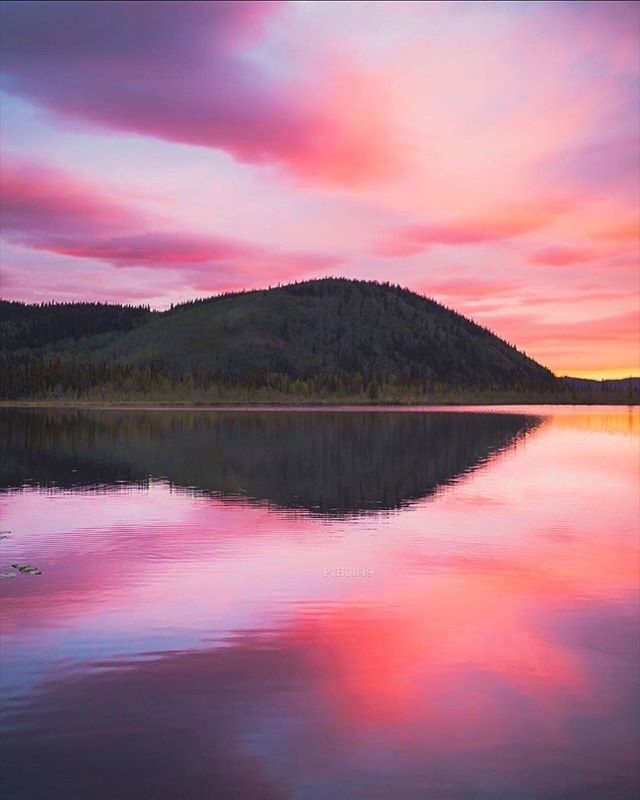 explorfairbanks's tweet photo. Sublime reflection 💖 Midway between Delta Junction and Tok, deep in Alaska’s Interior is Dot Lake where this stunning photograph was taken a few days ago.
📸 @patrickthunphoto
.
.
.
.
.
#springinalaska
#alaskarange
#midnightsunseason
#explorefairbanks… https://t.co/DyUzBAlmaJ https://t.co/T37OYKKNau
