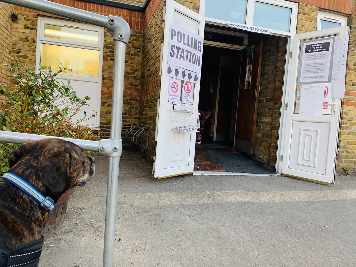 NuttyNatter's tweet photo. Looking longingly at the polling station. Every voter a potential treat and cuddle giver. #dogsatpollingstations2019 #DogsAtPollingPlaces https://t.co/MFg52ZQZM4