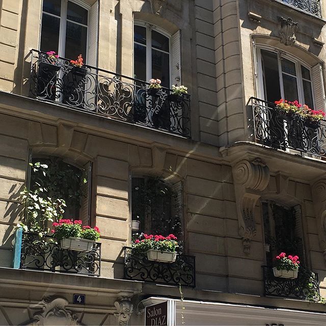 Belleemag's tweet photo. Paris flowers, Paris 16 https://t.co/k3XONW67Aw https://t.co/Rl3mhJBcz9