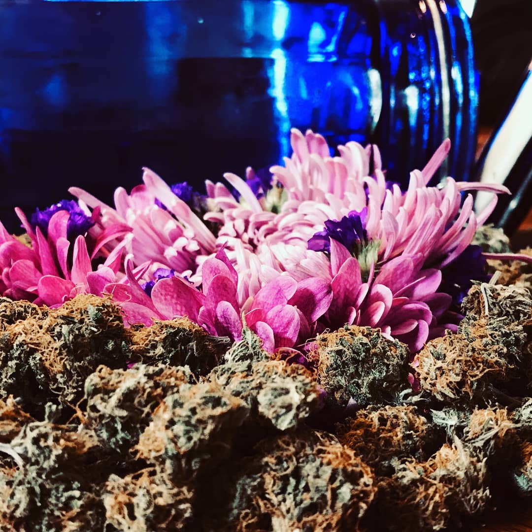 Be closer to Mother nature
#weedpic #weedcommunity #cannabiscommunity #weedporn #dank #danke #medical #milegalize #legalweed #loggiestogies #cannabisculture #cannabisgrow #flowers #ganja #sativa #indica #pothead #notadrug #highlife #dankness #roll #blunts #joints #joint