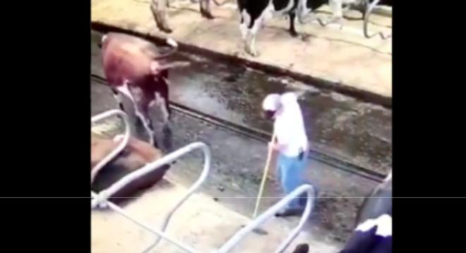 Jack Lemon tweet media