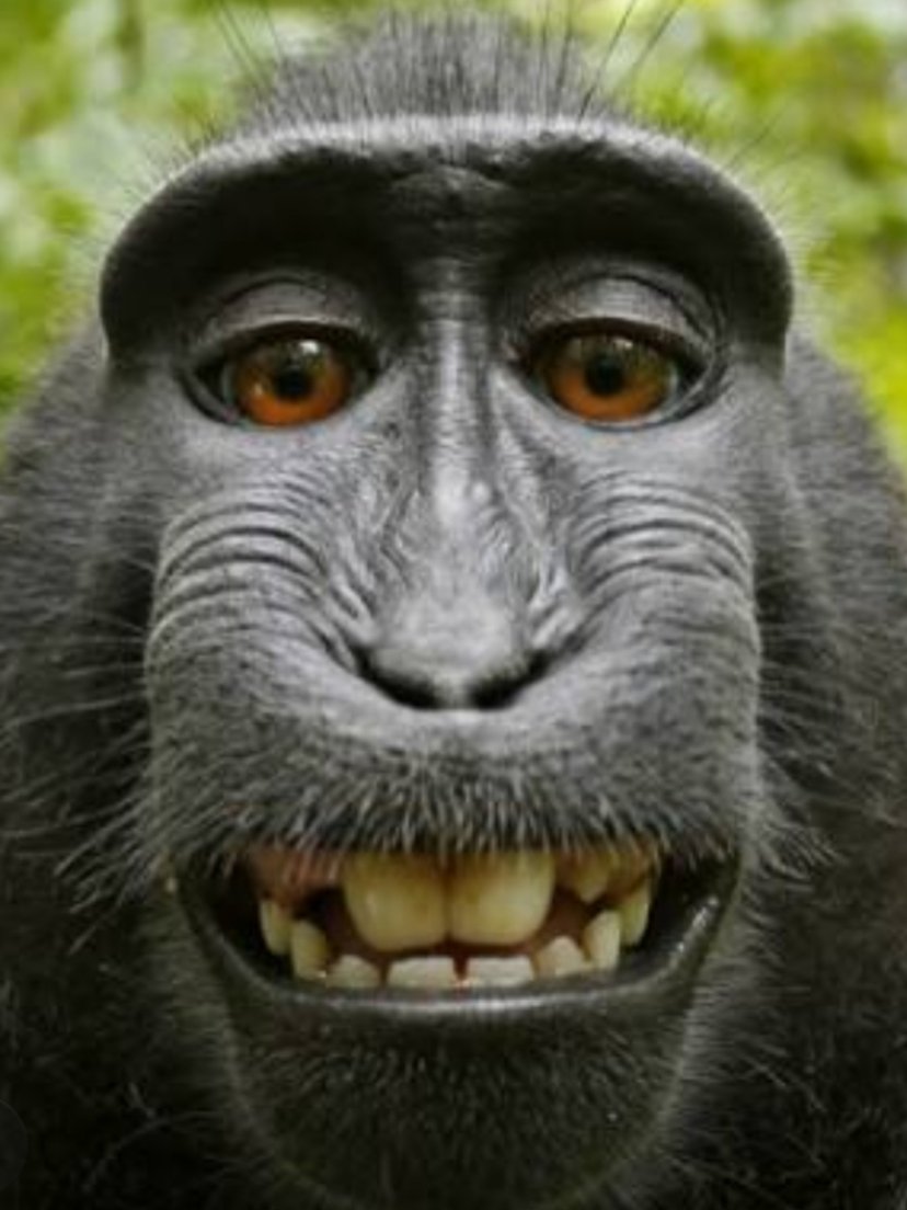 Interesting morning at #GLAM Copyright seminar series :)