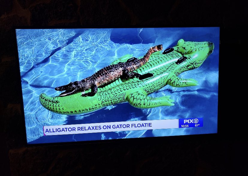 All of Glenhope this summer...