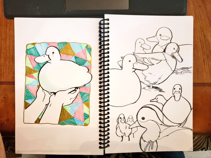 Instructions unclear: drew ducks 
