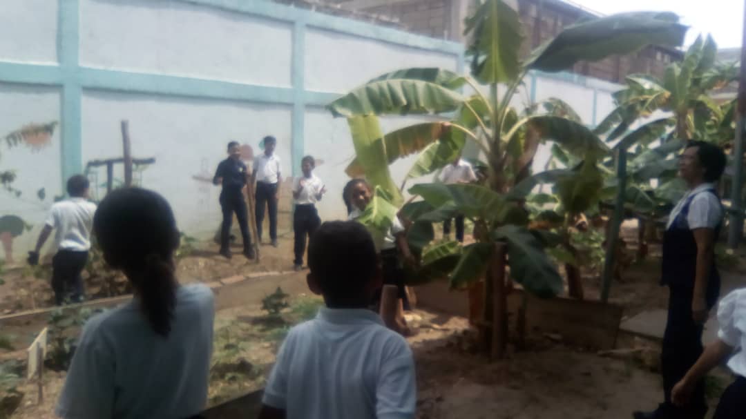 red13sucre's tweet photo. #TodosPalConuco Circuito 6 #Sucre en la UE Juan Freites realizaron actividades enmarcadas en el rescate y mantenimiento de su conuco escolar 🌱🌱🌱🌱 @karsanc @prensazees @SaIaZESucre @MPPEDUCACION @yanetvall @RosangelaOrozco https://t.co/fGYpprK5G8
