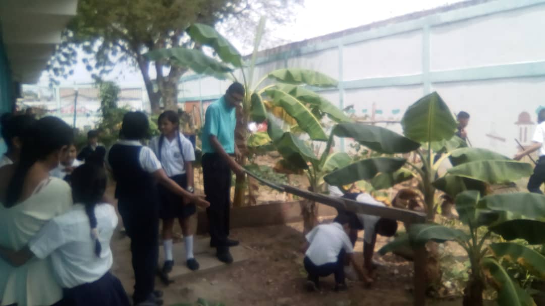 red13sucre's tweet photo. #TodosPalConuco Circuito 6 #Sucre en la UE Juan Freites realizaron actividades enmarcadas en el rescate y mantenimiento de su conuco escolar 🌱🌱🌱🌱 @karsanc @prensazees @SaIaZESucre @MPPEDUCACION @yanetvall @RosangelaOrozco https://t.co/fGYpprK5G8