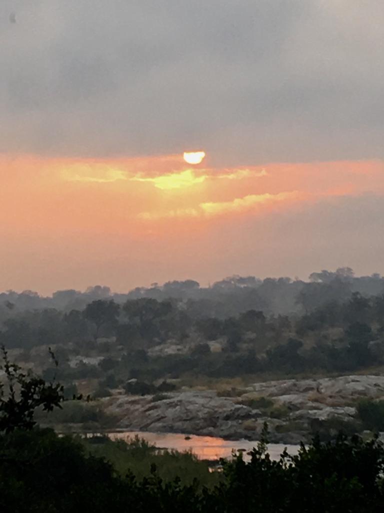 So this is how we woke up to #FridayMorning this morning here in #MarlothPark 😎🐾☕🐒🌎
Good morning peeps and #HappyFriday to you all.
<a href="/jolakaziza/">Jolakazi Hospitality Enterprises Pty Ltd</a> <a href="/peoples_weather/">People°s Weather</a>