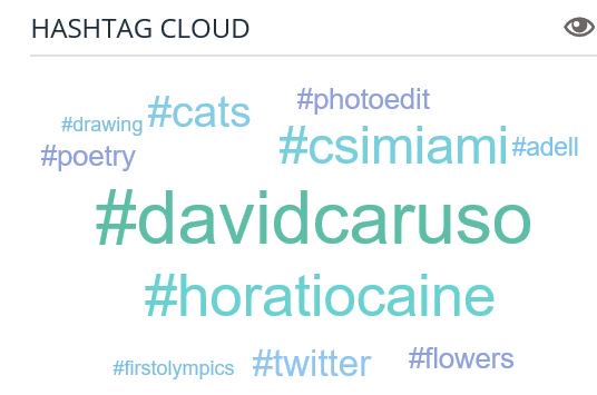 MartinaRosemann's tweet photo. My #Twitter "Hashtag Cloud" for today! #csimiami #horatiocaine #davidcaruso #photoedit #cats #drawing #poetry #adell #firstolympics #twitter #flowers https://t.co/wB4hWuu7e2