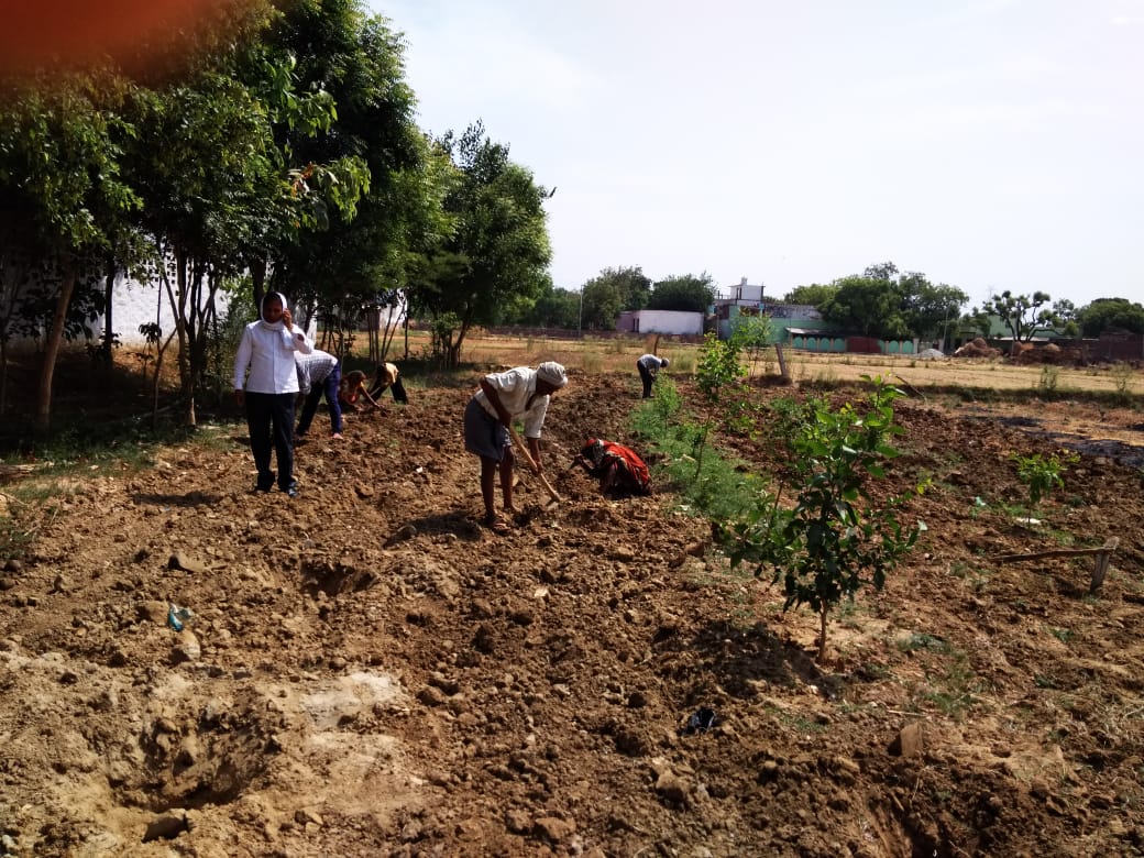 prabhatmisra's tweet image. District #Firozabad is taking #ClimateAction to #StopClimateCrisis by #PondRenovation,#plantationpit for #plantation in #Monsoon,#DestituteCattleShelterHouse for cattles, improved #DrainageSystem&amp;amp; #WaterConservation.#FridaysForFuture #GlobalStrikeForFuture
theguardian.com/commentisfree/…