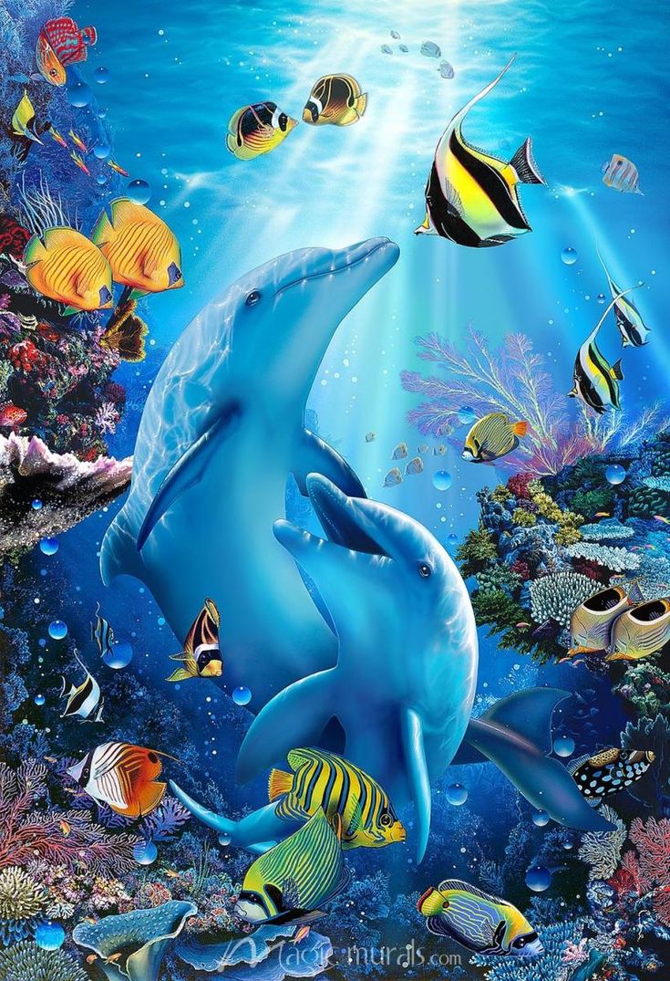 Nemo tweet media