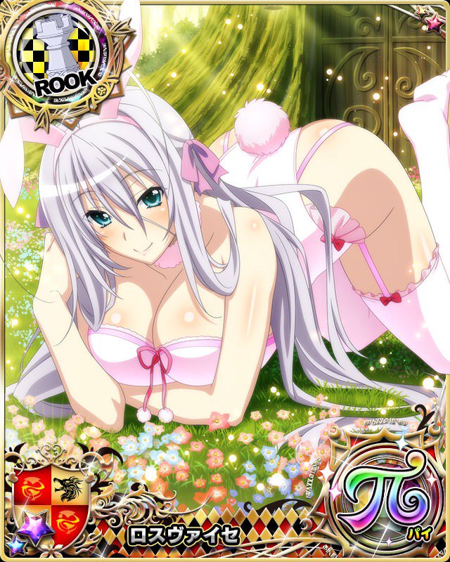 DxD Cards - Bunny VIII Rossweisse. 