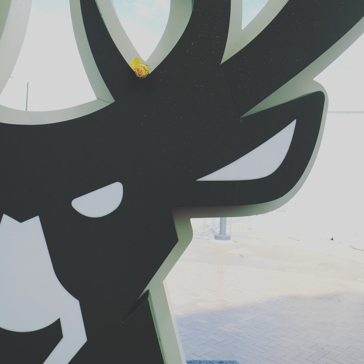 DownshiftM's tweet photo. Let's get it boys. Good start to the second half 🦌

#Bucks #BucksIn6 #BucksvsRaptors #MKE #NBAPlayoffs @Bucks https://t.co/eRemGFLizZ
