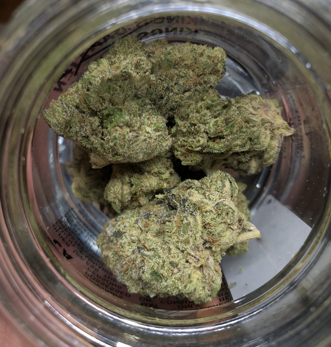 chaicastroville's tweet photo. KINGS GARDEN JDOG🔥🔥🔥🔥 https://t.co/2vuWOhHS9J