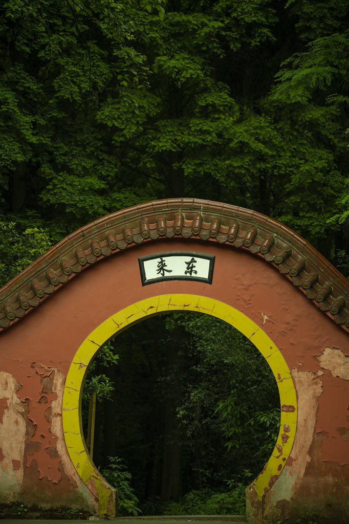 JohnZhang1981's tweet photo. this summer not so hot but so green https://t.co/ivFjoQMjiB