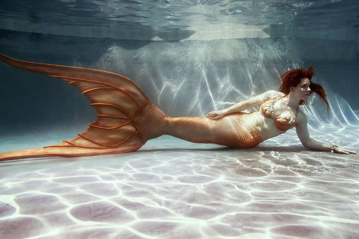 Check out the @fantasywoodfestival this weekend at <a href="/merriweatherpp/">Merriweather Post Pavilion</a>.  Head to our Facebook page to enter to win tickets and use code OurKidsDC10 to save 10% on tickets. 

facebook.com/ourkidsdc/