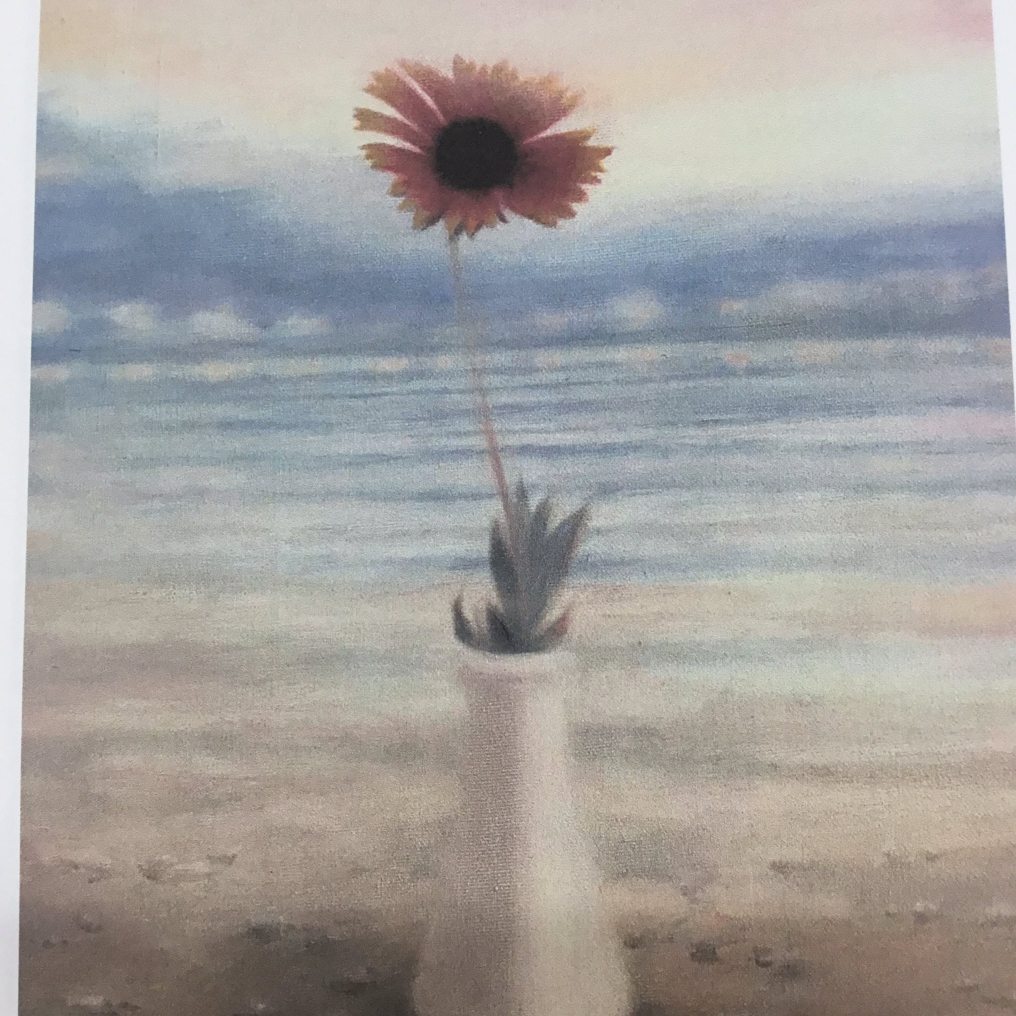 平和祈念展示資料館 Twitterren 喜界島の飛行場の周りに咲く 島の人たちから 特攻花 と呼ばれる天人菊を描かれている横山忠正さんと 福岡のギャラリーを主宰されている本松康子さんが来館されました T Co Hqnffzfeal 大刀洗 特攻 T Co