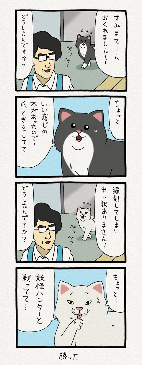 レジネコ。「とりあえず…動物病院に行きましょう！」by店長  