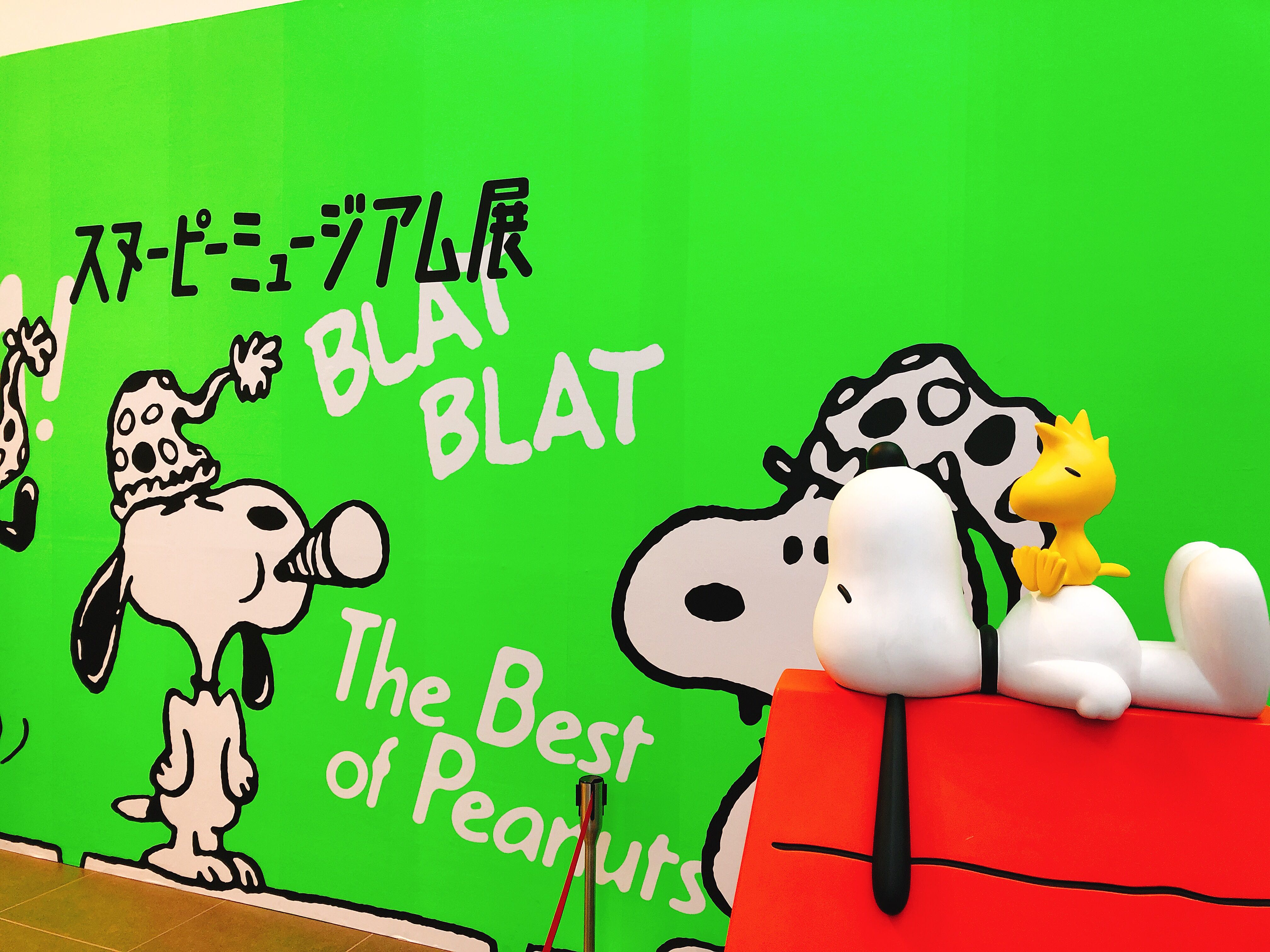 M Premier 高島屋大阪店 先日 友人とスヌーピーミュージアム展に 行ってきました 可愛いスヌーピーの姿をたくさん見ることができ 幸せなひと時を過ごせました M Premier Mプル 休日 スヌーピーミュージアム展 大阪 T Co