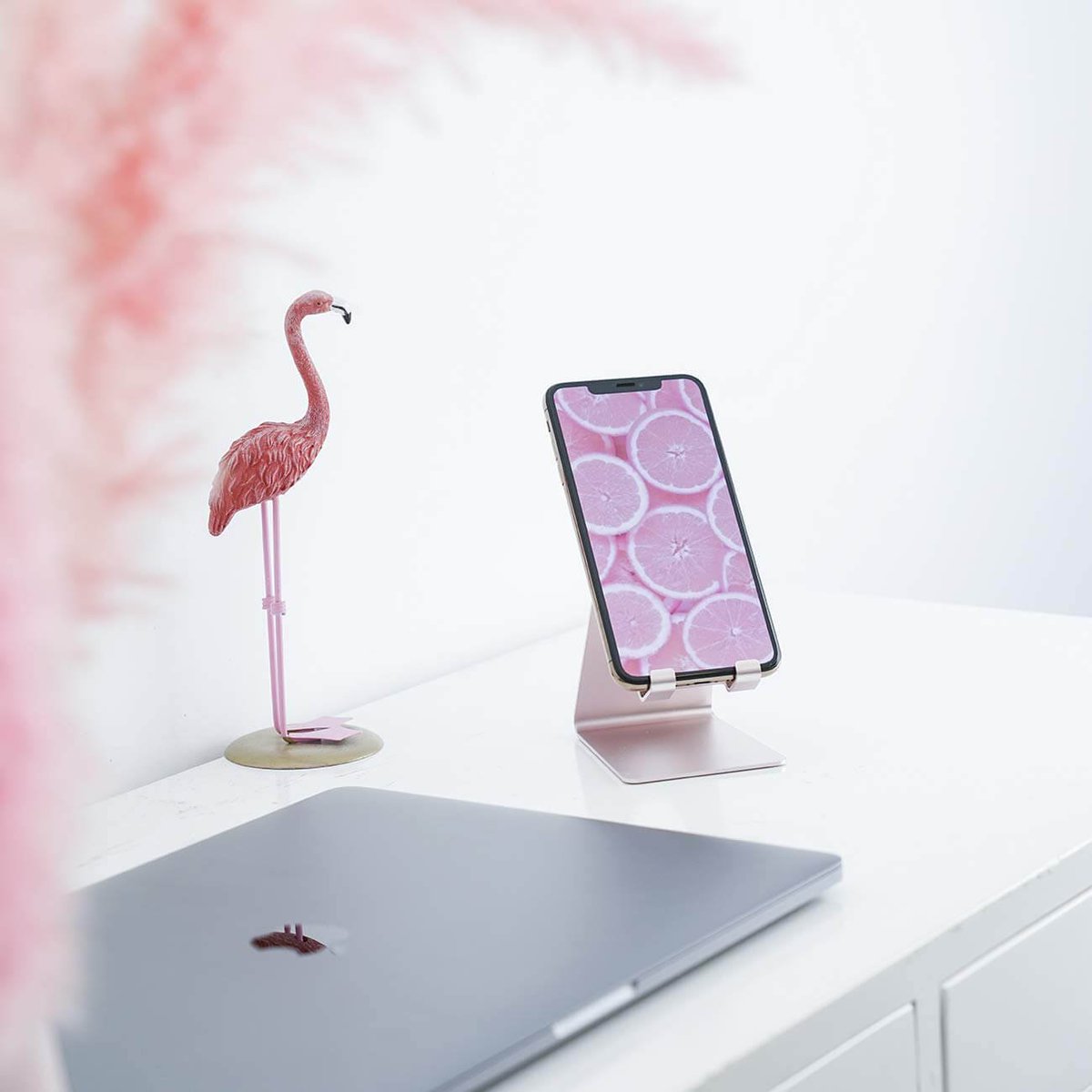 LamicallDirect's tweet image. Summer pink for the coming summer. 

#Flamingo #desktop #MacBookPro2019