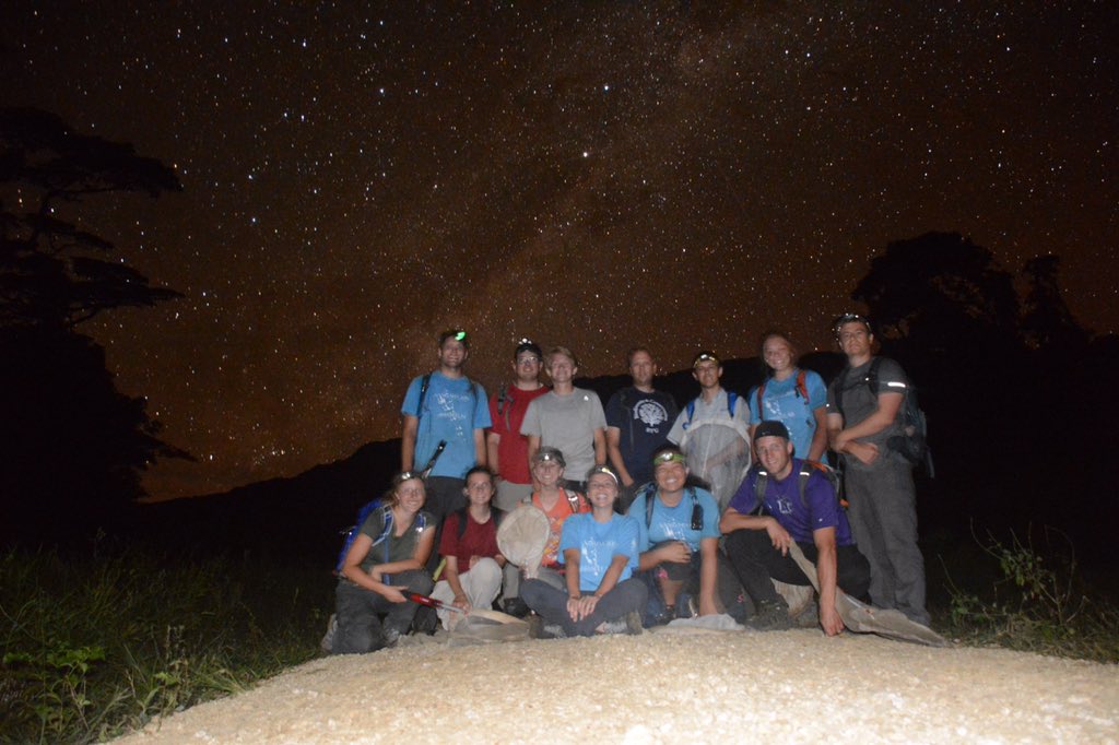 BybeeLab tweet media