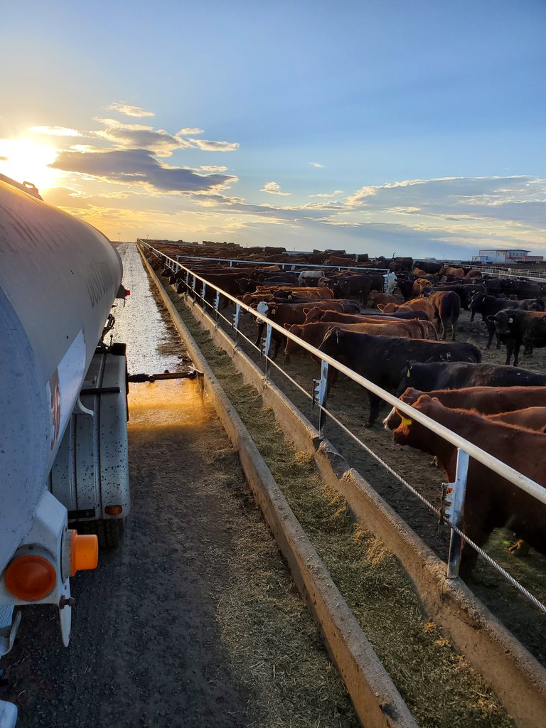 dust_desert's tweet photo. What a great evening to be spray at #easterdayranches and listening to #hankfm. #beef #washingtoncattlefeeders #eatbeef #nomoredust #lignin https://t.co/qjnlDsAtx6
