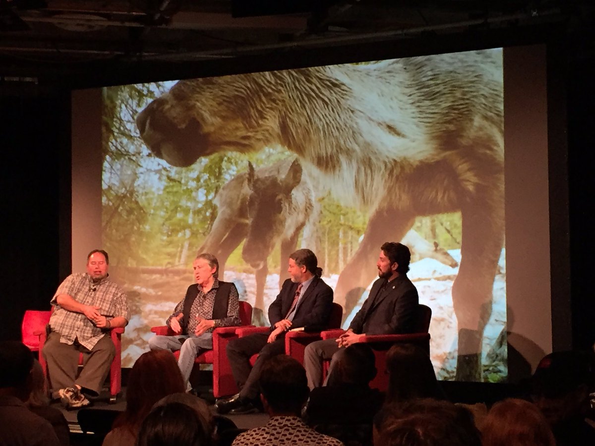 West Moberly and Saulteau chiefs talking about agreement to recover endangered caribou - to save caribou and bring back treaty right to harvest them #saveBCcaribou <a href="/SierraClubBC/">Sierra Club BC</a>