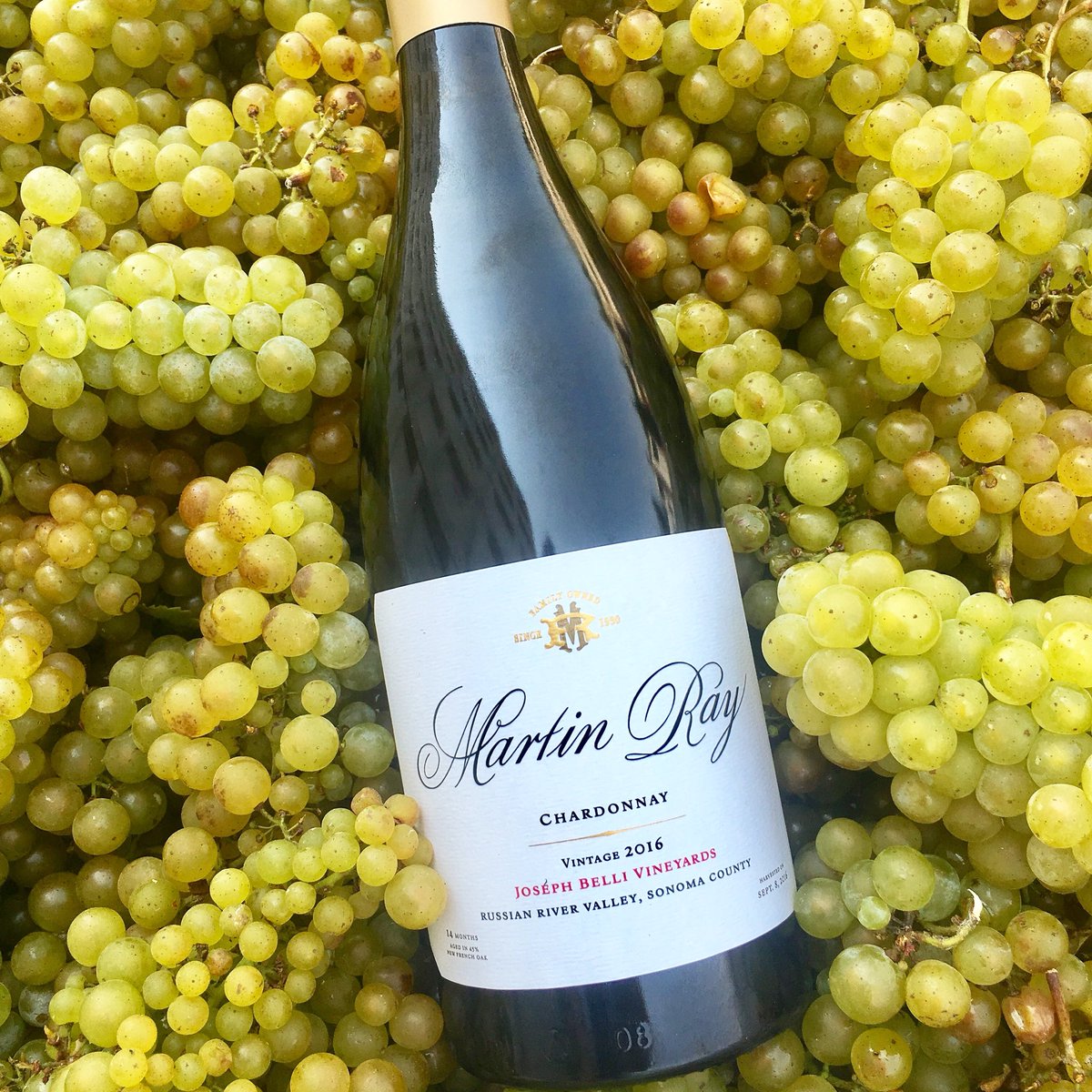 martinraywinery's tweet photo. #Cheers to #NationalChardonnayDay! To all those that love this varietal, we hope you’ve popped a bottle of your fave. Currently loving our Jo. Belli, #organicallyfarmed, it’s quintessential #russianriver and so #vibrant and #lucious. https://t.co/bcUcV2A9VV