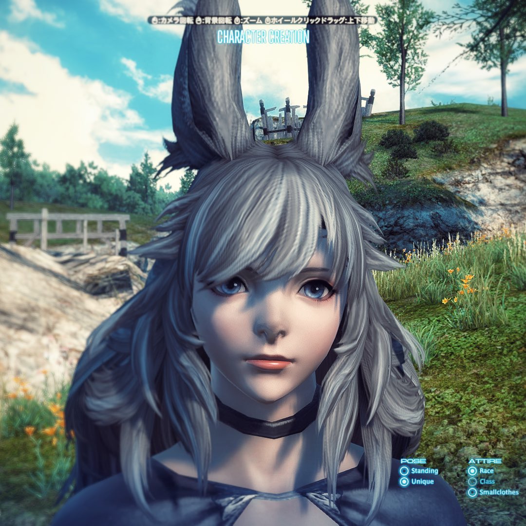 Uzivatel わさ Na Twitteru ヴィエラキャラメイク Ff14 もふもふ髪型よき 表情は崩れにくいタイプなのかな どの顔も可愛かった ざわざわ T Co Q5l4iwsxey Twitter