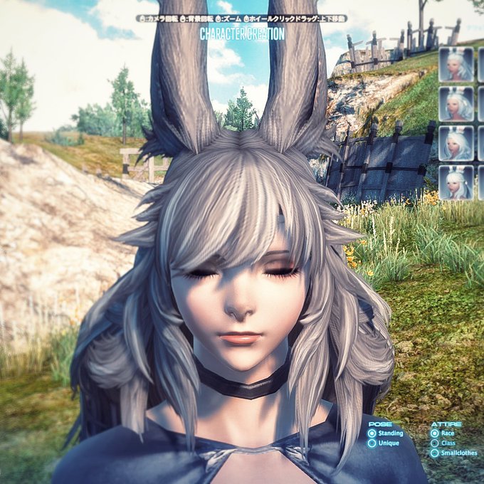 ヴィエラ 髪型 Ff14 Amrowebdesigners Com