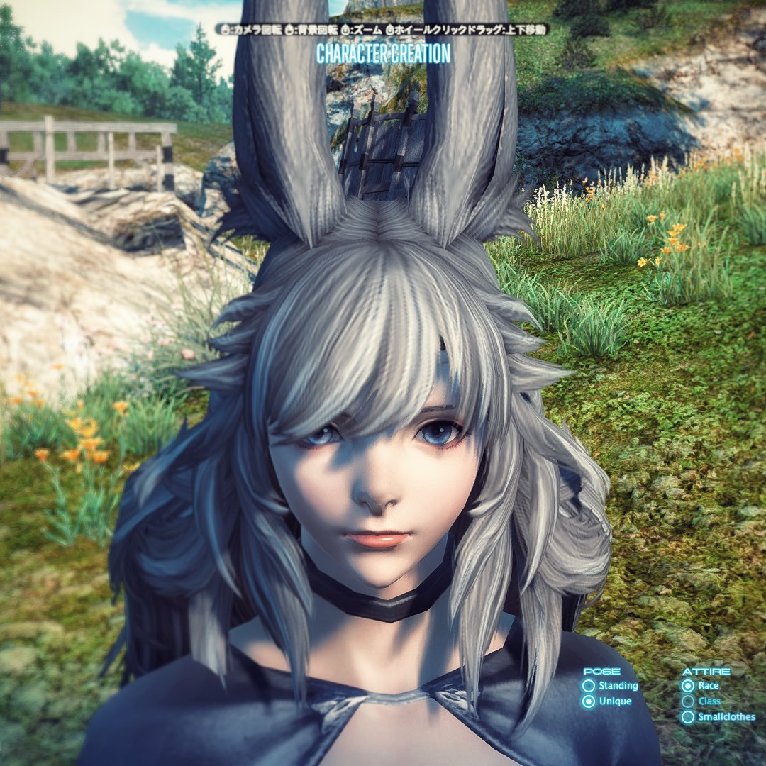 トップ 100 Ff14 ヴィエラ 髪型 ガルカヨメ