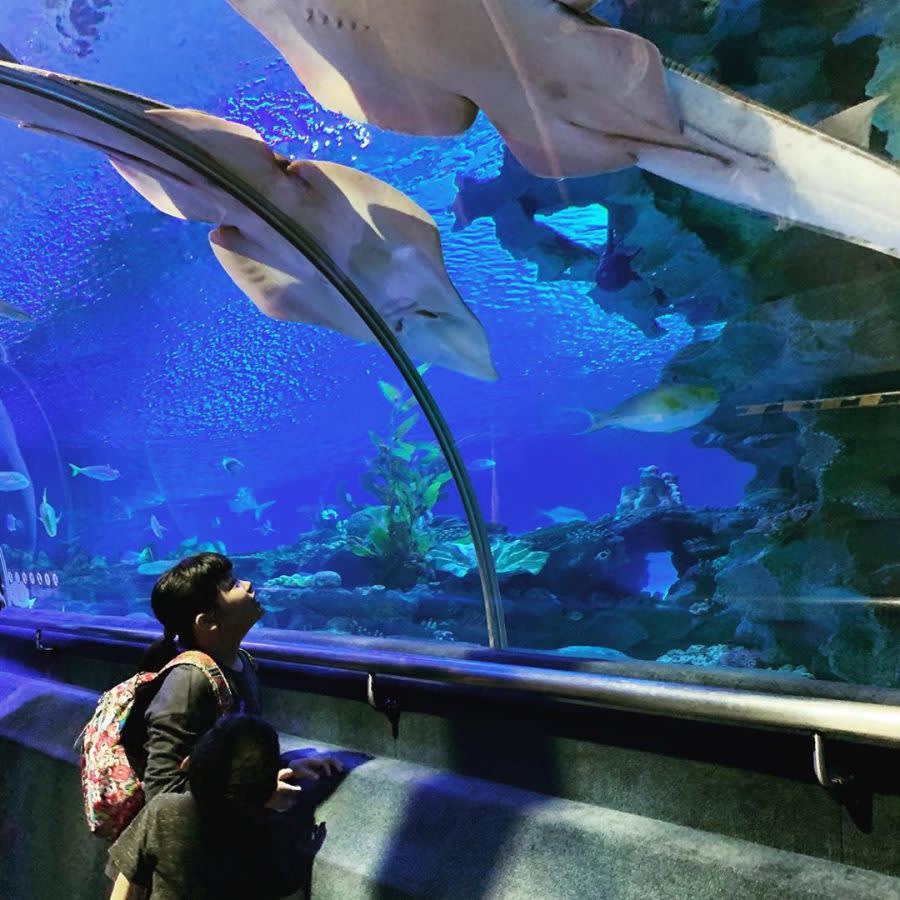 TourismMalaysia's tweet photo. 15 places to spend with the kids in KL during the upcoming school holidays.
https://t.co/9vIw7vTPNq
#MalaysiaTrulyAsia #CutiCutiMalaysia #TourismMalaysia #HHWT #VisitMalaysia2020 #VM2020 https://t.co/vWbduSs2su