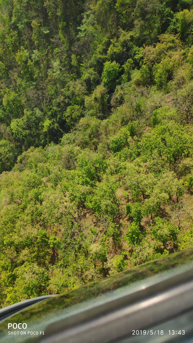 realhungrytiger's tweet photo. #manokamnadeviropeway @IndiaPOCO https://t.co/HJUJsVlSGZ