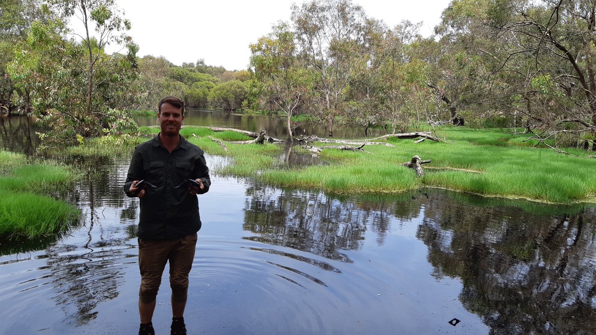 AnthonyMSantoro's tweet photo. Abstract submitted for @WCHerp. Fingers crossed i'll be heading to Dunedin, New Zealand in January to talk about my PhD research!

#WCH9 #turtle https://t.co/TJO5BNAqwS