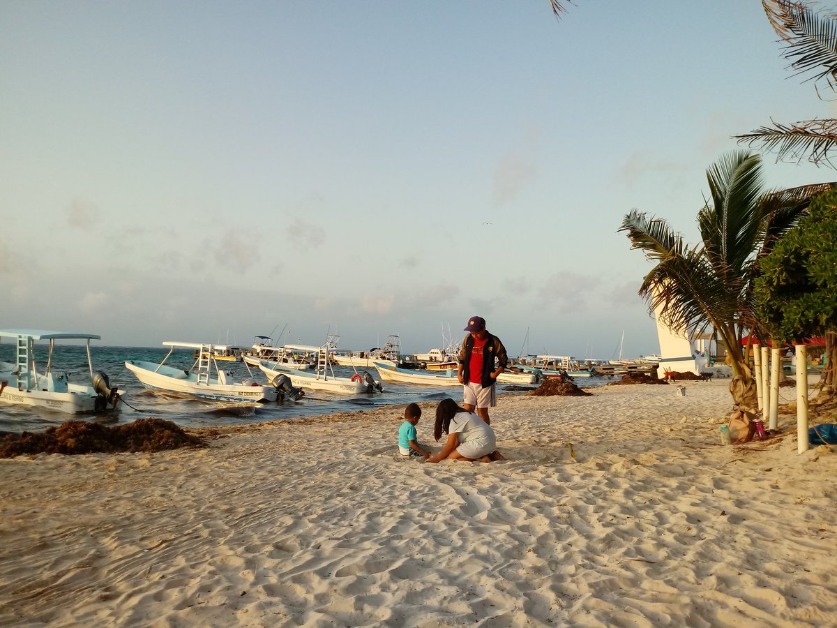 <a href="/BimboMx/">Bimbo México</a> promueve el desarrollo sustentable con el programa #LimpiemosMéxico promoviendo la convivencia familiar... <a href="/Grupo_Bimbo/">Grupo Bimbo</a> <a href="/chetubien/">Comunidad Chetubien</a> <a href="/cancunmio/">CancunMio.com</a> <a href="/GriseldisDomin1/">Griseldis Dominguez</a> <a href="/FatimaConcha2/">🐚 Fatima</a> <a href="/maritza_aes/">Maritza Aes</a>