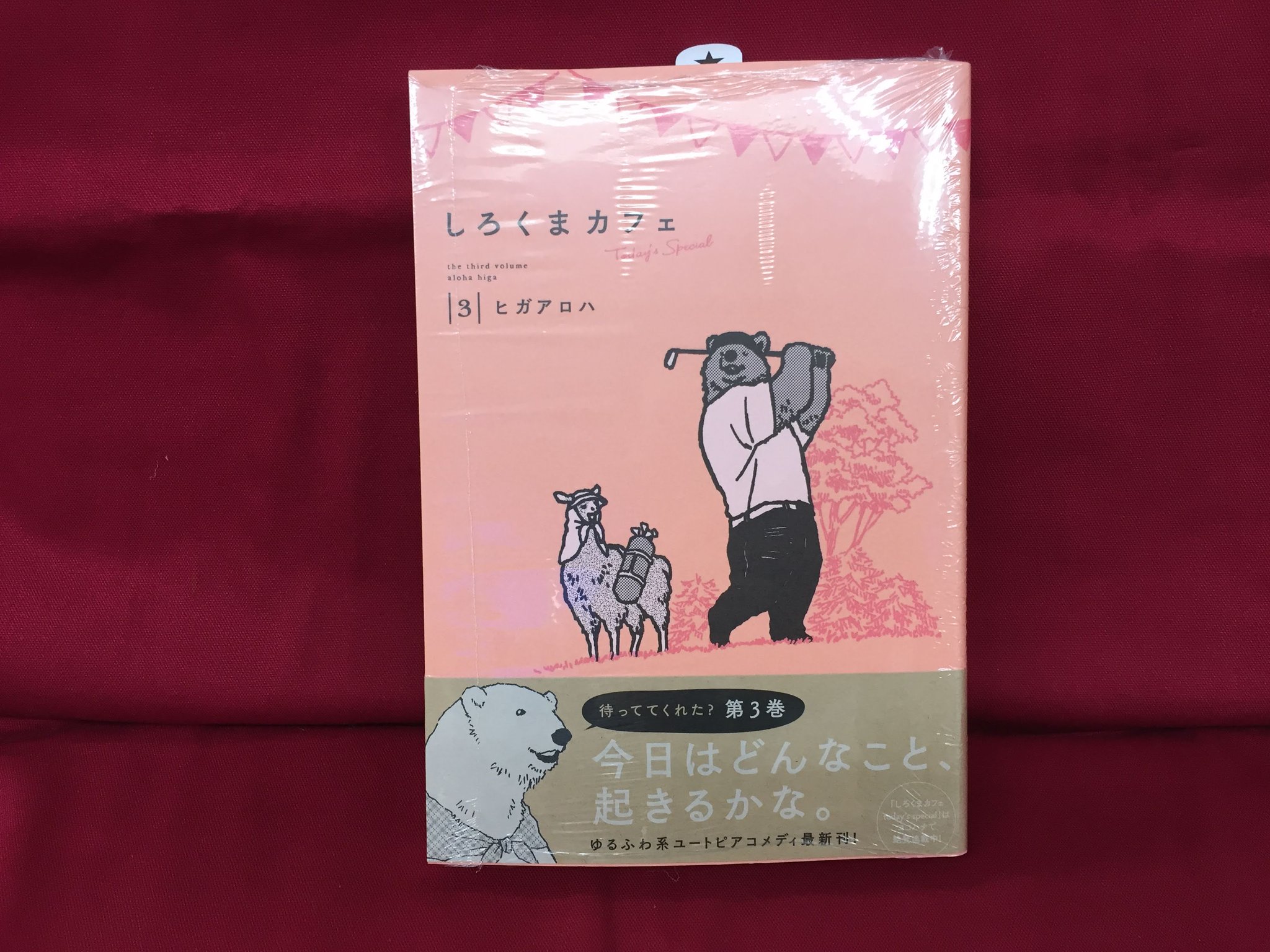 ট ইট র アニメイト大宮 書籍販売情報 しろくまカフェ Today S Special 3巻 が好評発売中マメ ゆるふわ系ユートピアコメディ最新巻マメ ヒガアロハ 先生 ট ইট র アニメイト大宮 書籍販売情報 しろくまカフェ Today S Special 3巻 が好評発売中マメ ゆるふわ系ユートピアコメディ最新巻マメ ヒガアロハ 先生