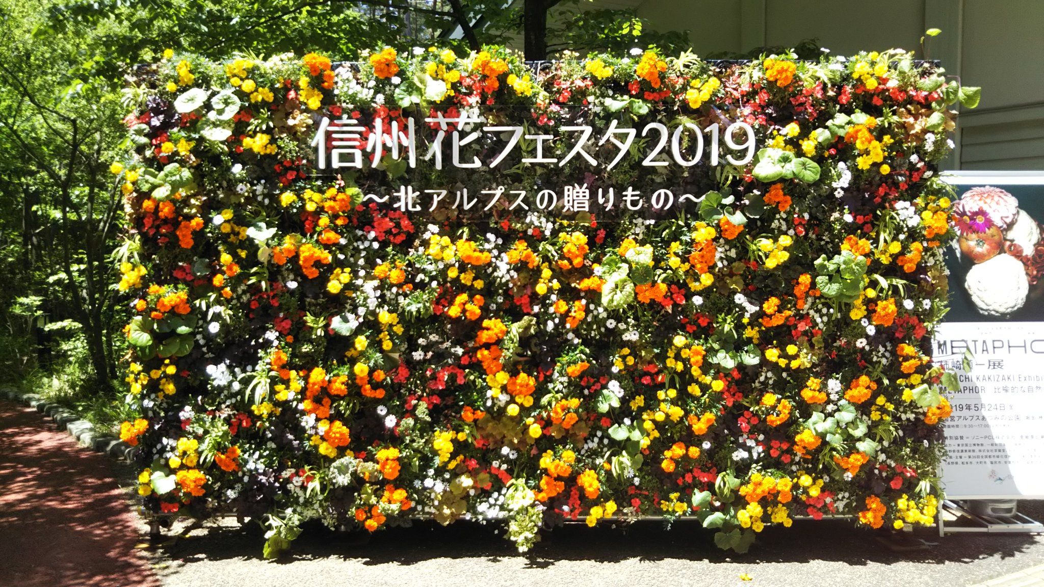 信州ふるさと便 現在開催中の 信州花フェスタ19 サブ会場の国営アルプスあづみの公園 堀金 穂高地区 正面入口脇に設置されたフラワーウォールが模様替えされていました オレンジ色が入ってとても華やかです 信州ふるさと便 安曇野 安曇野ベリー