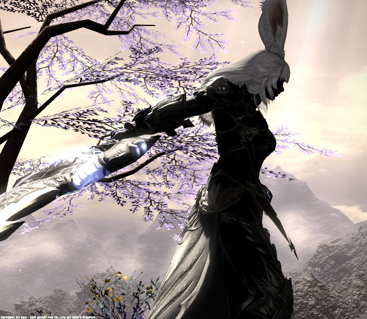 Jel Aegis در توییتر これだけは言える キャクリ画面より ベンチ中の方がキャラがイイ感じに見えると とりあえず作ってみた黒 ヴィエラさんの圧がすごいｗ ヴィエラキャラメイク Ff14