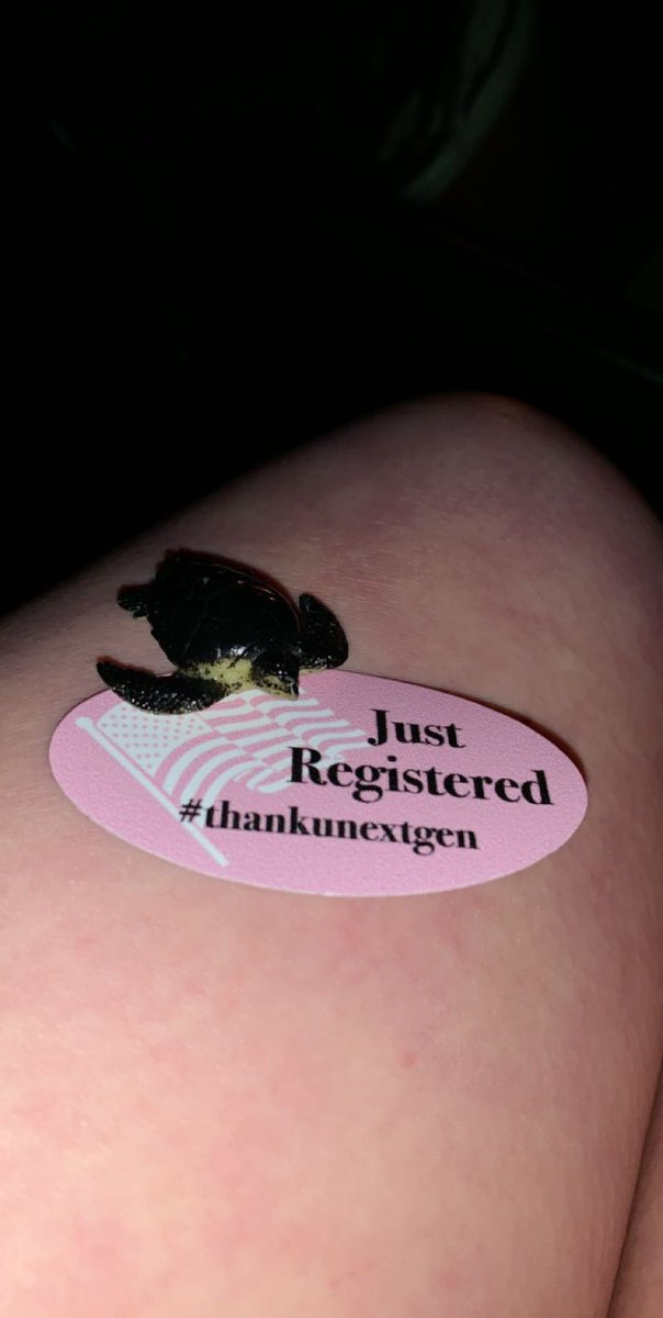 TacoBatson's tweet photo. I’ve been waiting since January 23rd to register to vote #thankyounextgen thank you @ArianaGrande for providing me with the opportunity to make this moment even more special than it already was💜💜 https://t.co/hOOPprPaIk