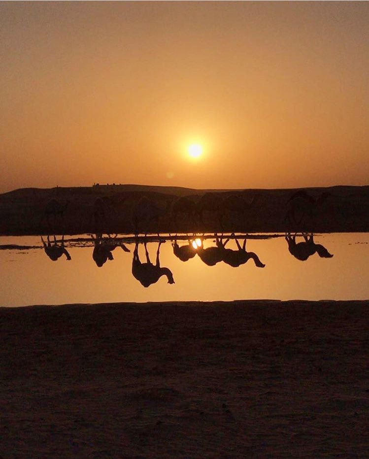 an200n1's tweet photo. من أراد النجاح في هذا العالم عليه أن يتغلّـب على أسس الفقر الستة : النوم - التراخي - الخوف - الغضب - الكسل - المماطلة. https://t.co/IzOjpCLnsk