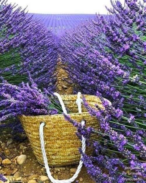 epmanolo's tweet photo. El que vive en armonía consigo mismo...vive en armonía con el universo...

#FelizFinde https://t.co/mf6fcVWsv2