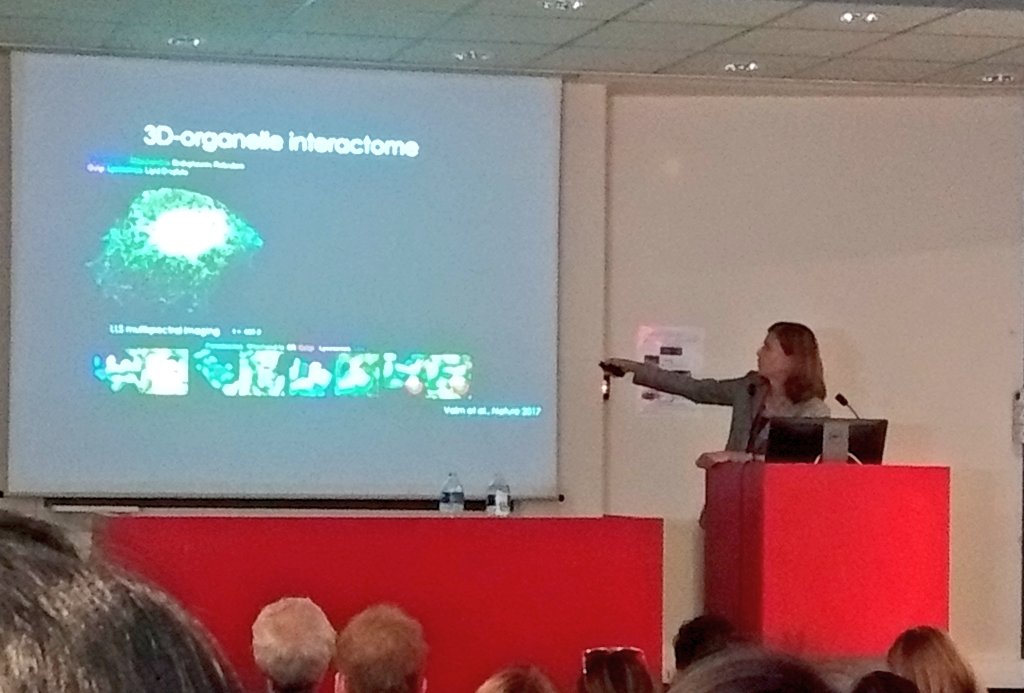 pj_saez's tweet photo. This week had t luck of meeting #RonVale &amp; #JenniferLippincottSchwartz, from @HHMIJanelia

Today, jaw dropping ppt by @JLS_Lab super #WomenInScience @ @institutpasteur
We saw #microscopy &amp; #organelle dynamics analysis of t future.
Loved t glimpse of #AI for imaging segmentation https://t.co/55xtu1hdIf