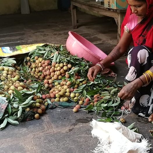 Jain_Samarth_In's tweet photo. #lytchee #organicfarm #organicfood #chemicalfreegarden #chemicalfreefarming #realtaste #realfood https://t.co/9Jc3ubnRyx