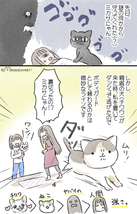 前投稿の続き。
人間<悪霊<猫<<<<<<犬（チワワ）
なのでチワワ最強説。 