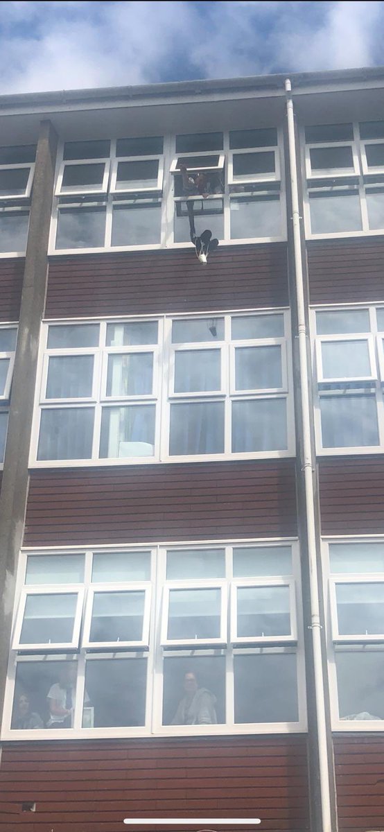 Yr 8 pupils have been looking at forces in science. Today’s lesson we all about parachuting eggs 🥚🥚. Watch out below!