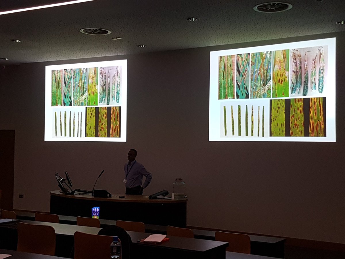 ISCLB 2019 tweet media