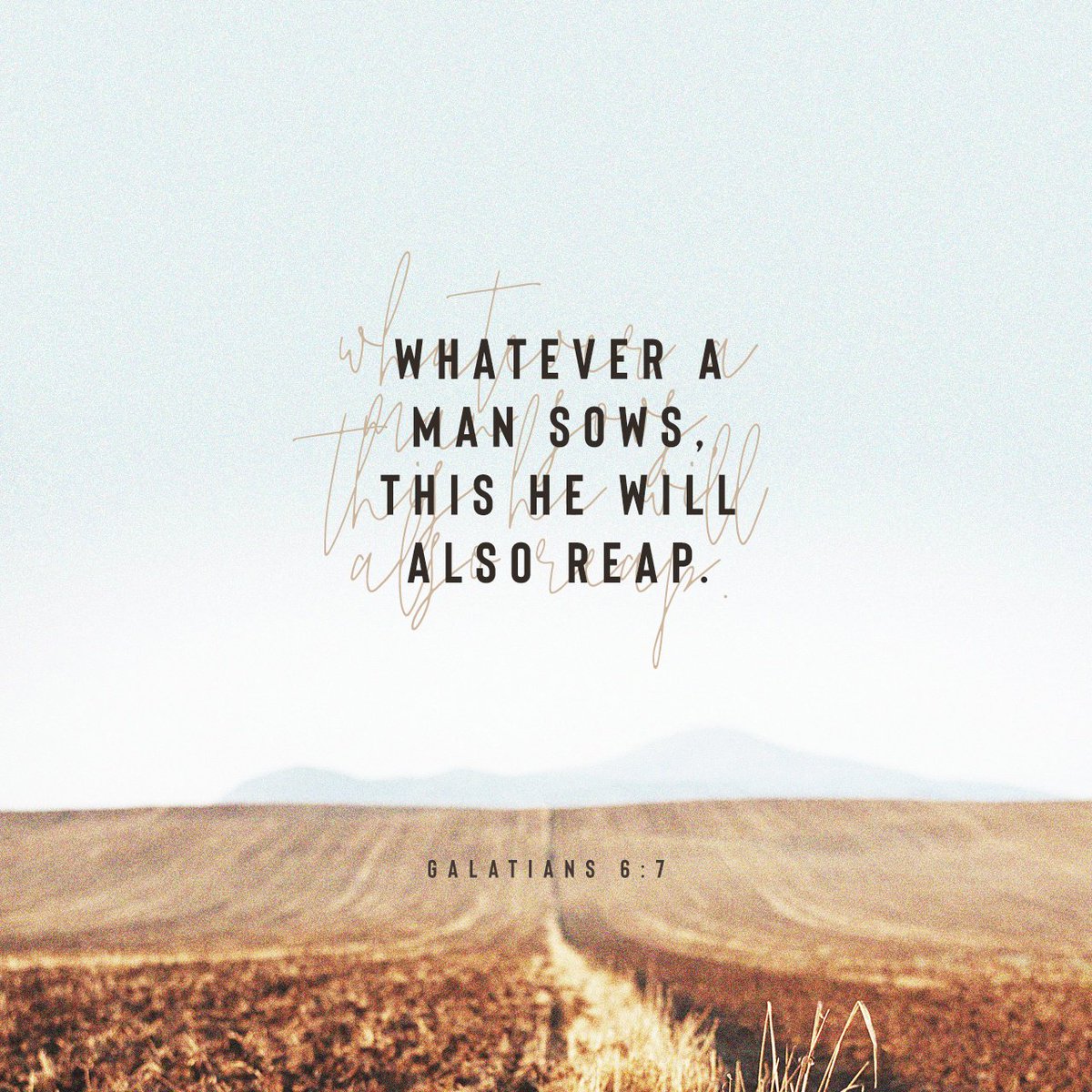 MessiahThreads's tweet image. Do not be deceived, God is not mocked; for whatever a man sows, this he will also reap. bible.com/100/GAL.6.7