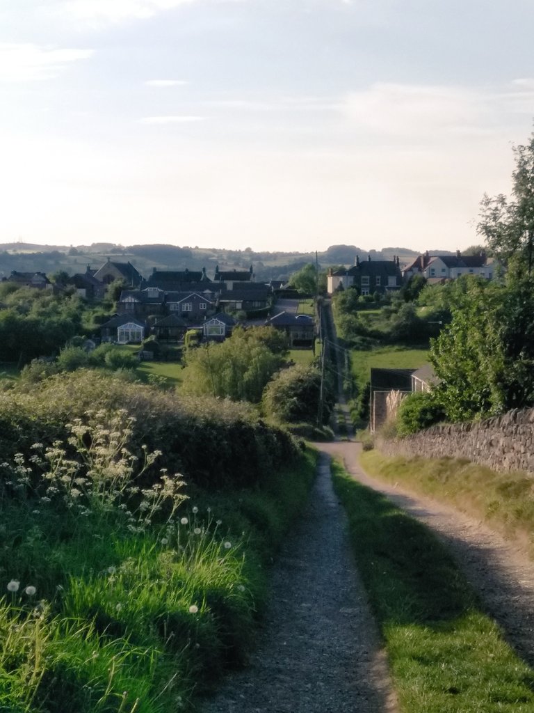 Last night really was a beautiful evening for a run! I even managed to conquer some hills! In the evening sun there were heaps of bugs around, which is great for wildlife, but I ate so many I'm not sure I can call myself vegetarian anymore...🤐
